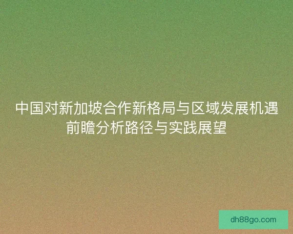 中国对新加坡合作新格局与区域发展机遇前瞻分析路径与实践展望